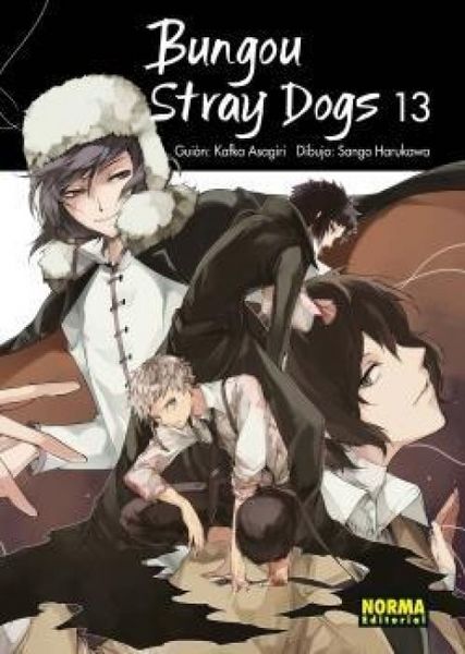 Produktbild: Bungou Stray Dogs 13