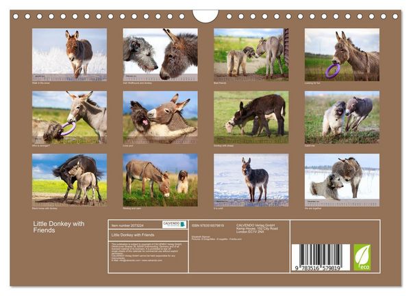 Produktbild: Little Donkey with Friends (Wall Calendar 2026 DIN A4 landscape), CALVENDO 12 Month Wall Calendar