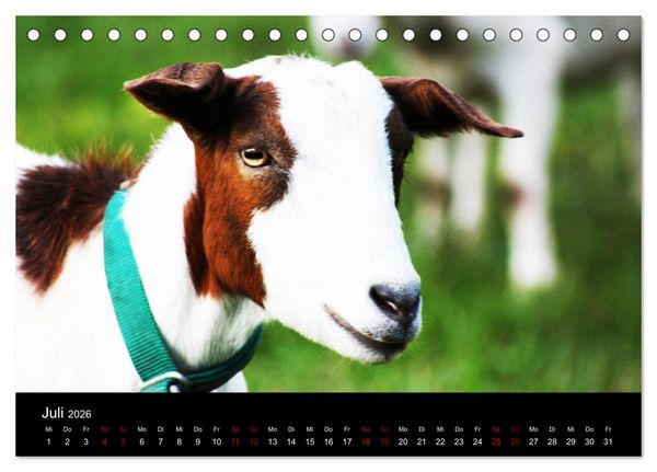 Produktbild: Eulhof (Tischkalender 2026 DIN A5 quer), CALVENDO Monatskalender