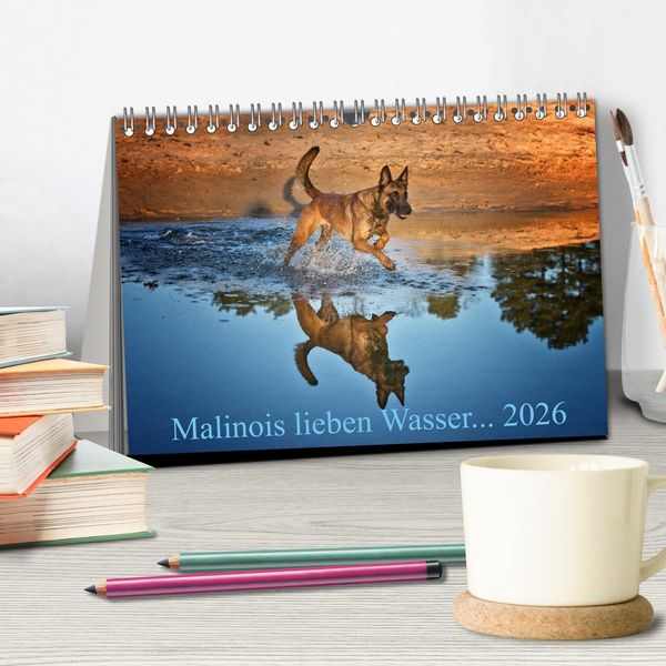 Produktbild: Malinois lieben Wasser (Tischkalender 2026 DIN A5 quer), CALVENDO Monatskalender