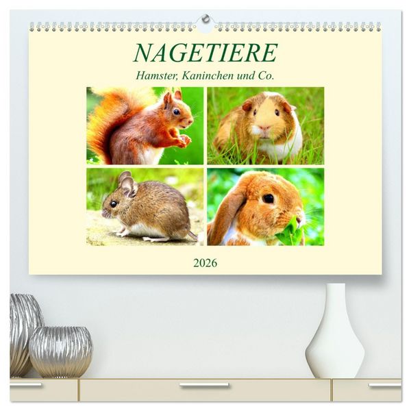 Produktbild: Nagetiere. Hamster, Kaninchen und Co. (hochwertiger Premium Wandkalender 2026 DIN A2 quer), Kunstdruck in Hochglanz