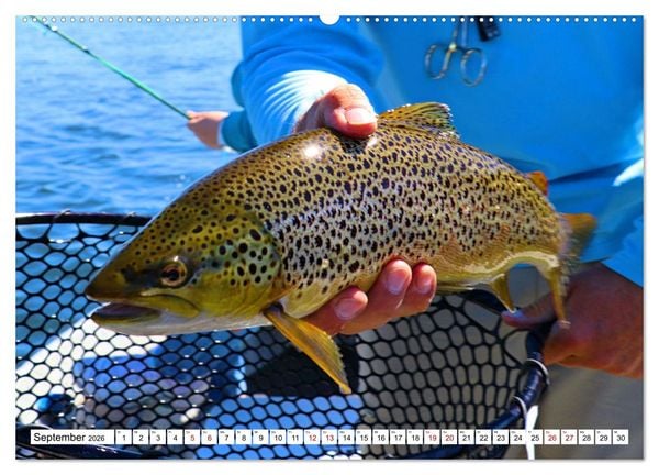 Produktbild: Anglergl&uuml;ck - den Fisch am Haken (Wandkalender 2026 DIN A2 quer), CALVENDO Monatskalender