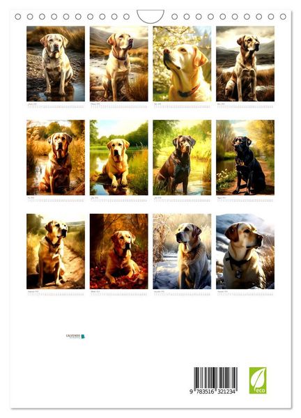 Produktbild: Der Labrador (Wandkalender 2026 DIN A4 hoch), CALVENDO Monatskalender