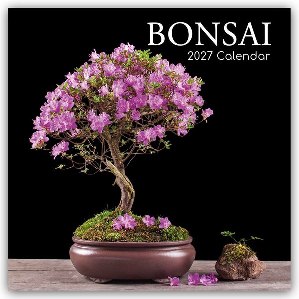 Produktbild: Bonsai &ndash; Bonsaib&auml;ume 2027 &ndash; 16-Monatskalender