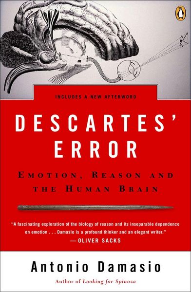 Produktbild: Descartes' Error
