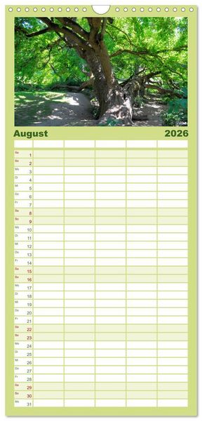 Produktbild: Familienplaner 2026 - Wald und Baum 2026 mit 5 Spalten (Wandkalender, 21 x 45 cm) CALVENDO