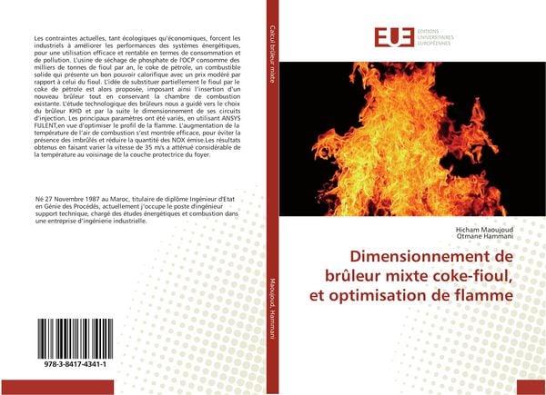 Produktbild: Dimensionnement de br&ucirc;leur mixte coke-fioul, et optimisation de flamme