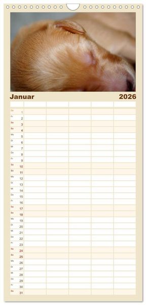 Produktbild: Familienplaner 2026 - Hovawart - nat&uuml;rlich blond mit 5 Spalten (Wandkalender, 21 x 45 cm) CALVENDO