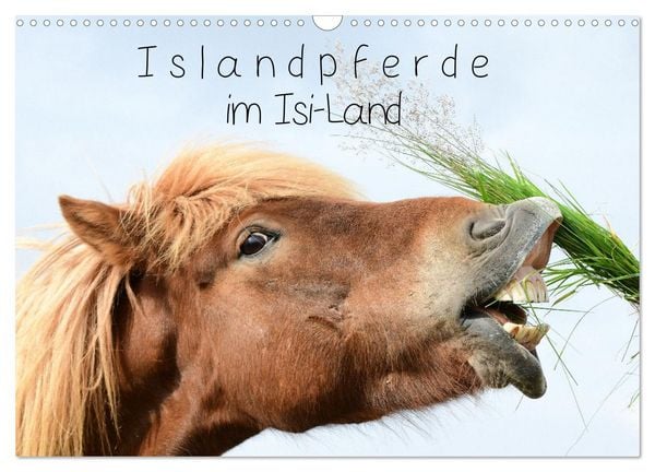 Produktbild: Islandpferde im Isi-Land (Wandkalender 2026 DIN A3 quer), CALVENDO Monatskalender