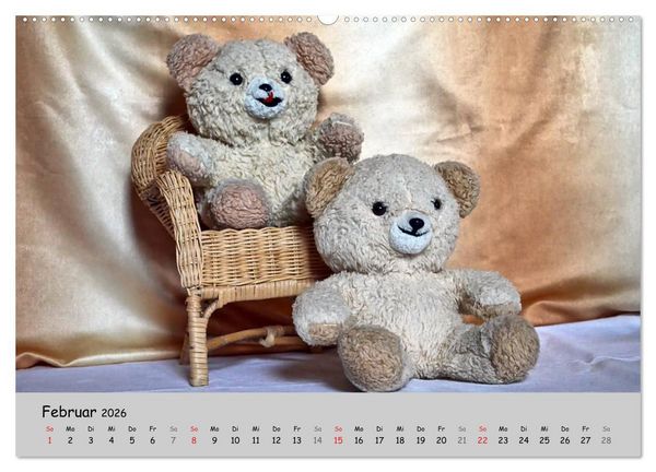 Produktbild: TEDDYB&Auml;R, OH TEDDYB&Auml;R... (hochwertiger Premium Wandkalender 2026 DIN A2 quer), Kunstdruck in Hochglanz