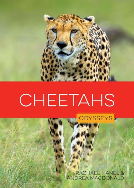 Produktbild: Cheetahs