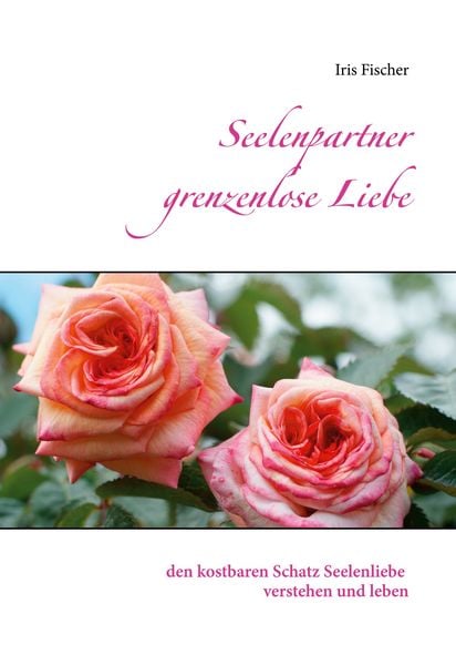 Produktbild: Seelenpartner grenzenlose Liebe
