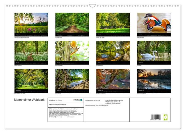 Produktbild: Mannheimer Waldpark (Wandkalender 2026 DIN A2 quer), CALVENDO Monatskalender
