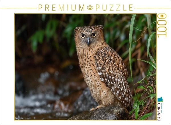Produktbild: CALVENDO Puzzle Bindenfischuhu am Flussufer | 1000 Teile Lege-Gr&ouml;&szlig;e 64x48cm Foto-Puzzle f&uuml;r gl&uuml;ckliche Stunden