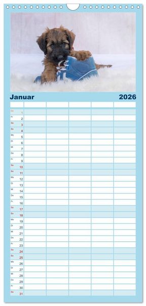Produktbild: Familienplaner 2026 - Briardbabys in ihren ersten Wochen mit 5 Spalten (Wandkalender, 21 x 45 cm) CALVENDO
