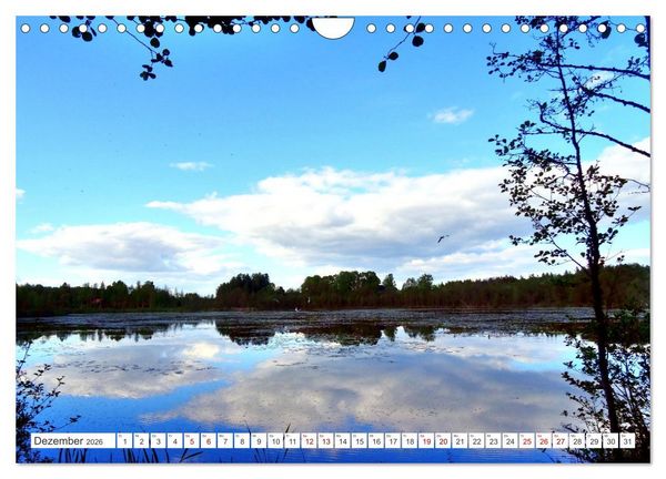 Produktbild: Gr&uuml;nes Estland - Naturparadies am Baltischen Meer (Wandkalender 2026 DIN A4 quer), CALVENDO Monatskalender