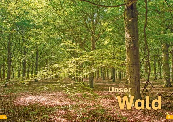 Produktbild: WAS IST WAS Erstes Lesen Band 6. Wald