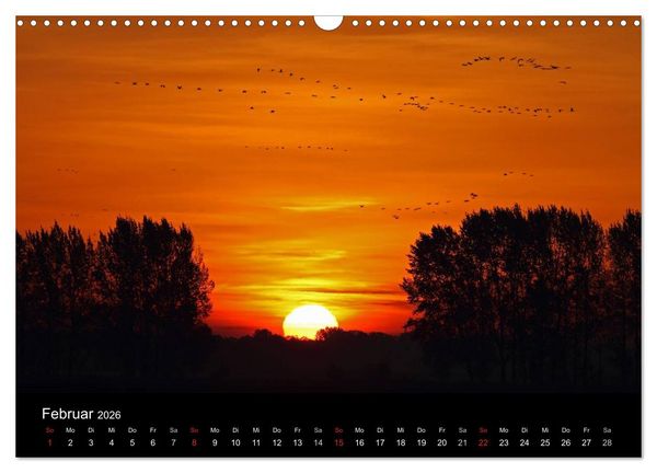 Produktbild: Kranich-Land Brandenburg (Wandkalender 2026 DIN A3 quer), CALVENDO Monatskalender