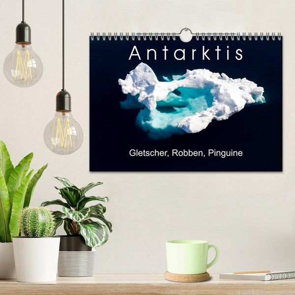 Produktbild: Antarktis Gletscher, Robben, Pinguine (Wandkalender 2026 DIN A4 quer), CALVENDO Monatskalender