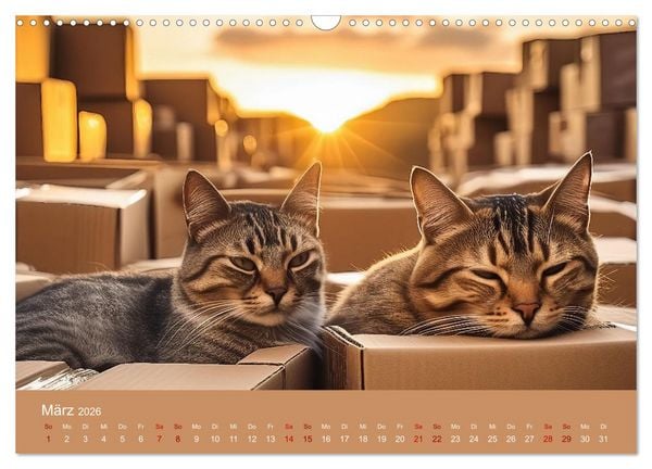 Produktbild: Tierische Urlaubstr&auml;ume (Wandkalender 2026 DIN A3 quer), CALVENDO Monatskalender