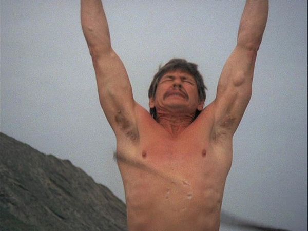 Produktbild: Wilde Pferde (Charles Bronson) - Mediabook - Cover C (Blu-ray+DVD) (+ Bonus-Blu-ray)