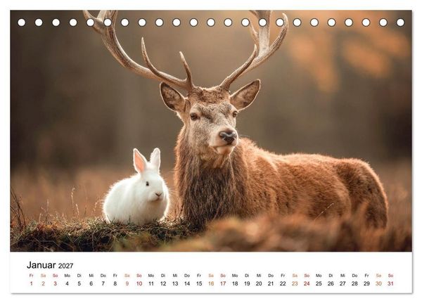 Produktbild: Beste Freunde - ein tierisch buntes Miteinander (Tischkalender 2027 DIN A5 quer), CALVENDO Monatskalender
