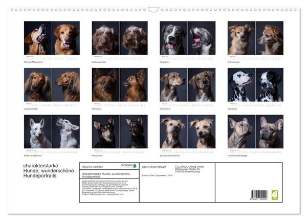 Produktbild: charakterstarke Hunde, wundersch&ouml;ne Hundeportraits (Wandkalender 2026 DIN A2 quer), CALVENDO Monatskalender