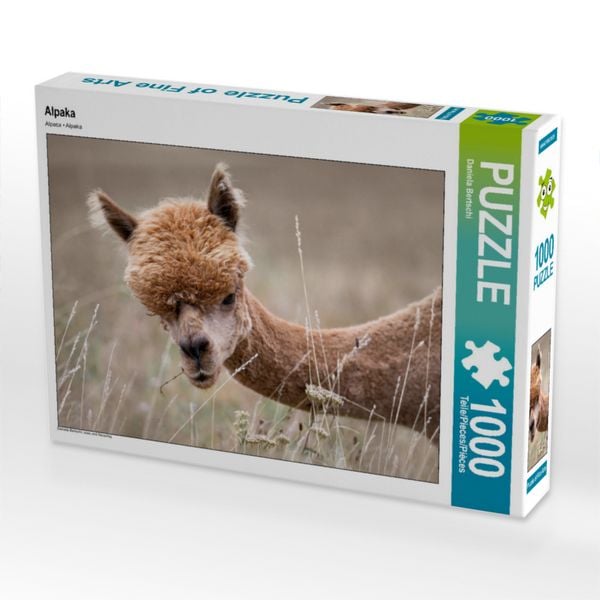 Produktbild: CALVENDO Puzzle Alpaka, Remigen | 1000 Teile Lege-Gr&ouml;&szlig;e 64x48cm Foto-Puzzle f&uuml;r gl&uuml;ckliche Stunden