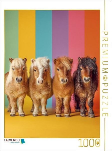 CALVENDO Puzzle Bunte Zwergpony Bilder mit Regenbogenfarben | 1000 Teile Lege-Größe 64x48cm Foto-Puzzle für glückliche Stunden