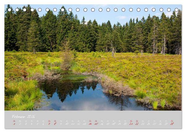 Produktbild: Th&uuml;ringer Wald Das Gr&uuml;ne Herz Deutschlands (Tischkalender 2026 DIN A5 quer), CALVENDO Monatskalender
