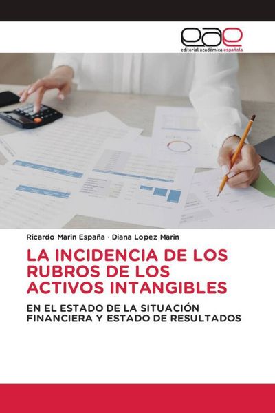 Produktbild: La Incidencia De Los Rubros De Los Activos Intangibles