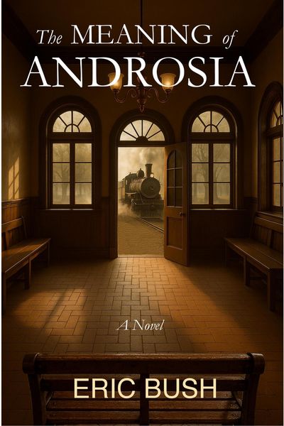 Produktbild: The Meaning of Androsia
