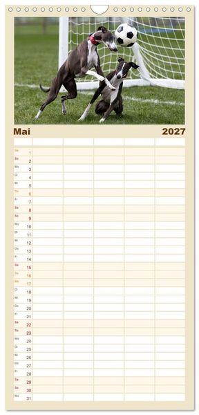 Produktbild: Familienplaner 2027 - Funny Greyhounds - Windhunde mal anders mit 5 Spalten (Wandkalender, 21 x 45 cm) CALVENDO