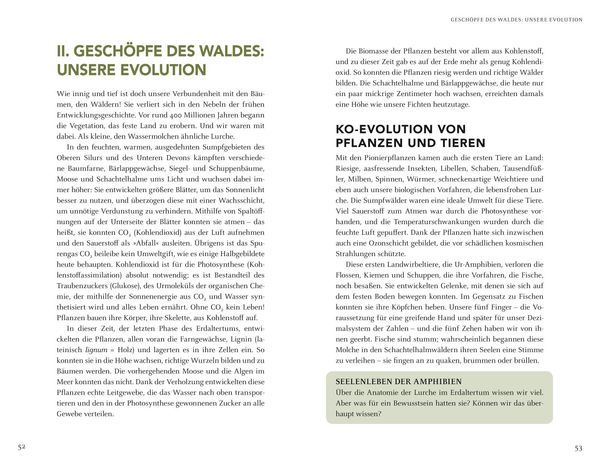 Produktbild: Wir sind Gesch&ouml;pfe des Waldes