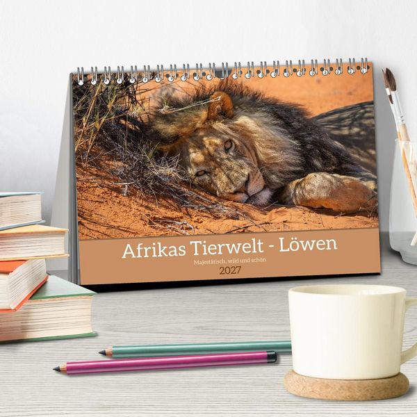 Produktbild: Afrikas Tierwelt - L&ouml;wen (Tischkalender 2027 DIN A5 quer), CALVENDO Monatskalender