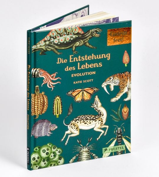 Produktbild: Die Entstehung des Lebens. Evolution