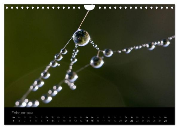 Produktbild: Natur im Detail (Wandkalender 2026 DIN A4 quer), CALVENDO Monatskalender