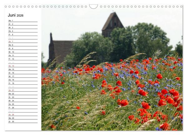 Produktbild: Die Jahreszeiten im Havelland (Wandkalender 2026 DIN A3 quer), CALVENDO Monatskalender
