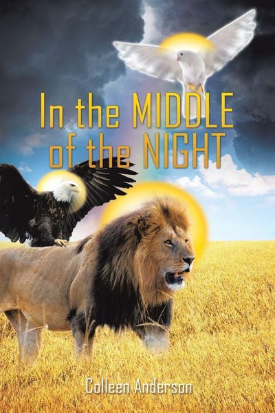 Produktbild: IN THE MIDDLE OF THE NIGHT