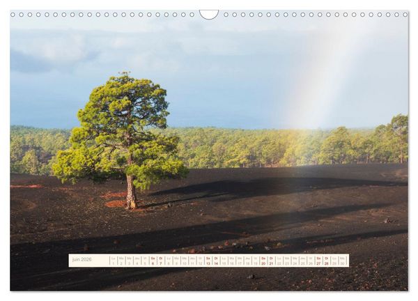 Produktbild: La Magie de T&eacute;n&eacute;riffe (Calendrier mural 2026 DIN A3 vertical), CALVENDO calendrier mensuel
