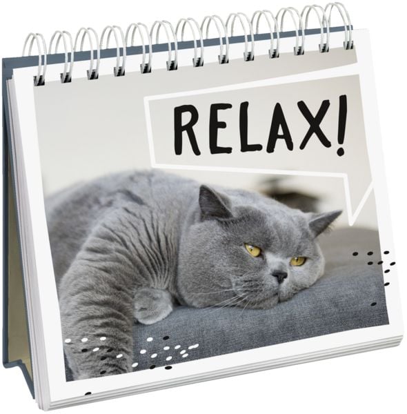Produktbild: Cat philosophy