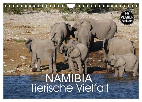 Produktbild: Namibia - Tierische Vielfalt (Planer) (Wandkalender 2026 DIN A4 quer), CALVENDO Monatskalender
