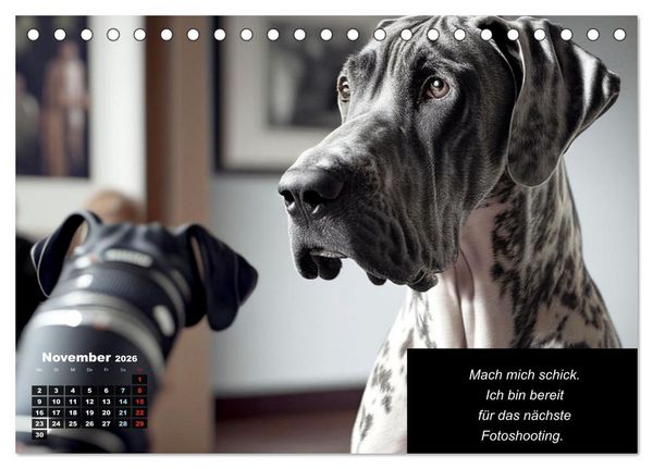 Produktbild: Der humoristische Dogge Kalender (Tischkalender 2026 DIN A5 quer), CALVENDO Monatskalender