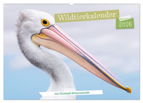 Wildtierkalender (Wandkalender 2026 DIN A2 quer), CALVENDO Monatskalender