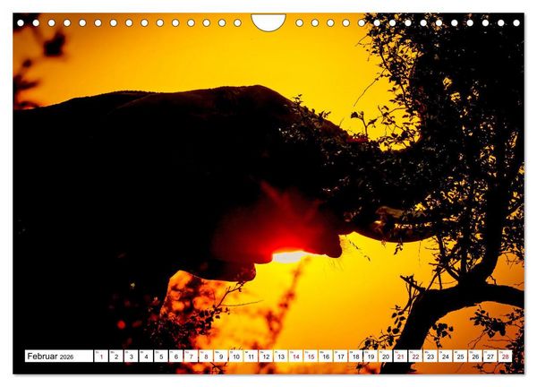 Produktbild: Elefanten-Traum - Herzenssache Afrika (Wandkalender 2026 DIN A4 quer), CALVENDO Monatskalender