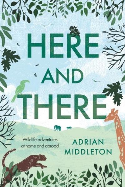 Produktbild: Here and There