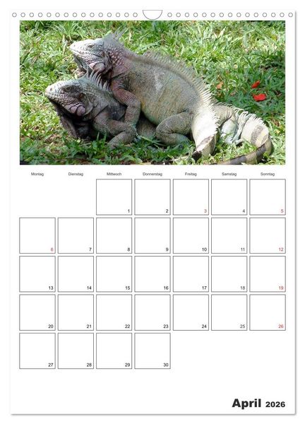 Produktbild: Venezuela - Land der Kontraste (Wandkalender 2026 DIN A3 hoch), CALVENDO Monatskalender
