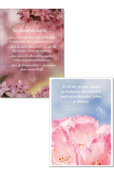 Produktbild: Die Lebensfreude-Postkarten. Genie&szlig;e dein Leben.