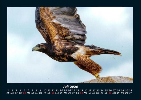 Produktbild: Adler 2026 Fotokalender DIN A4