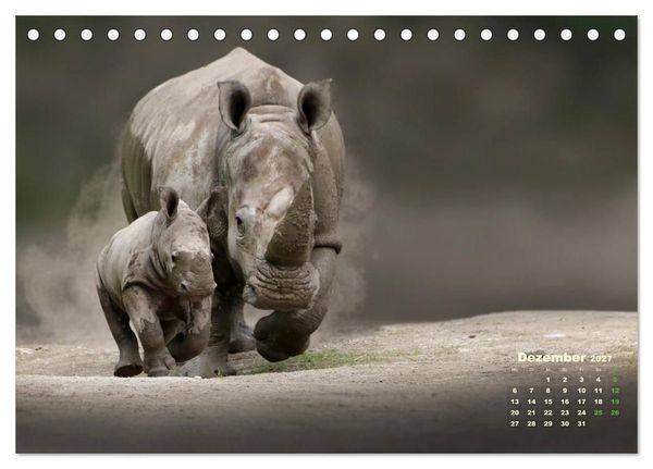 Produktbild: WILDE TIERE IN AKTION (Tischkalender 2027 DIN A5 quer), CALVENDO Monatskalender